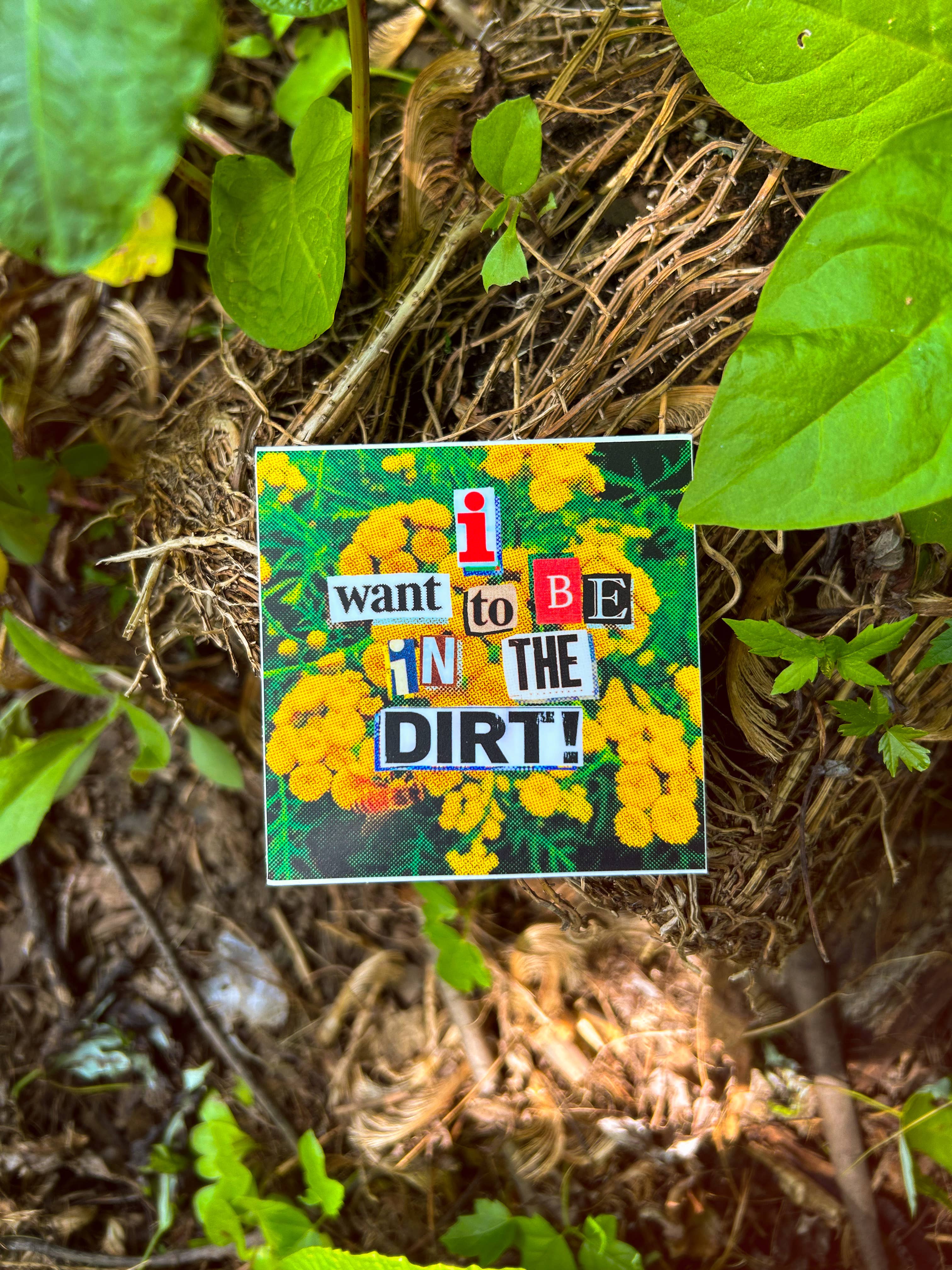 Milktooth Co - Vente Autocollant - DIRT! Autocollant Collage0