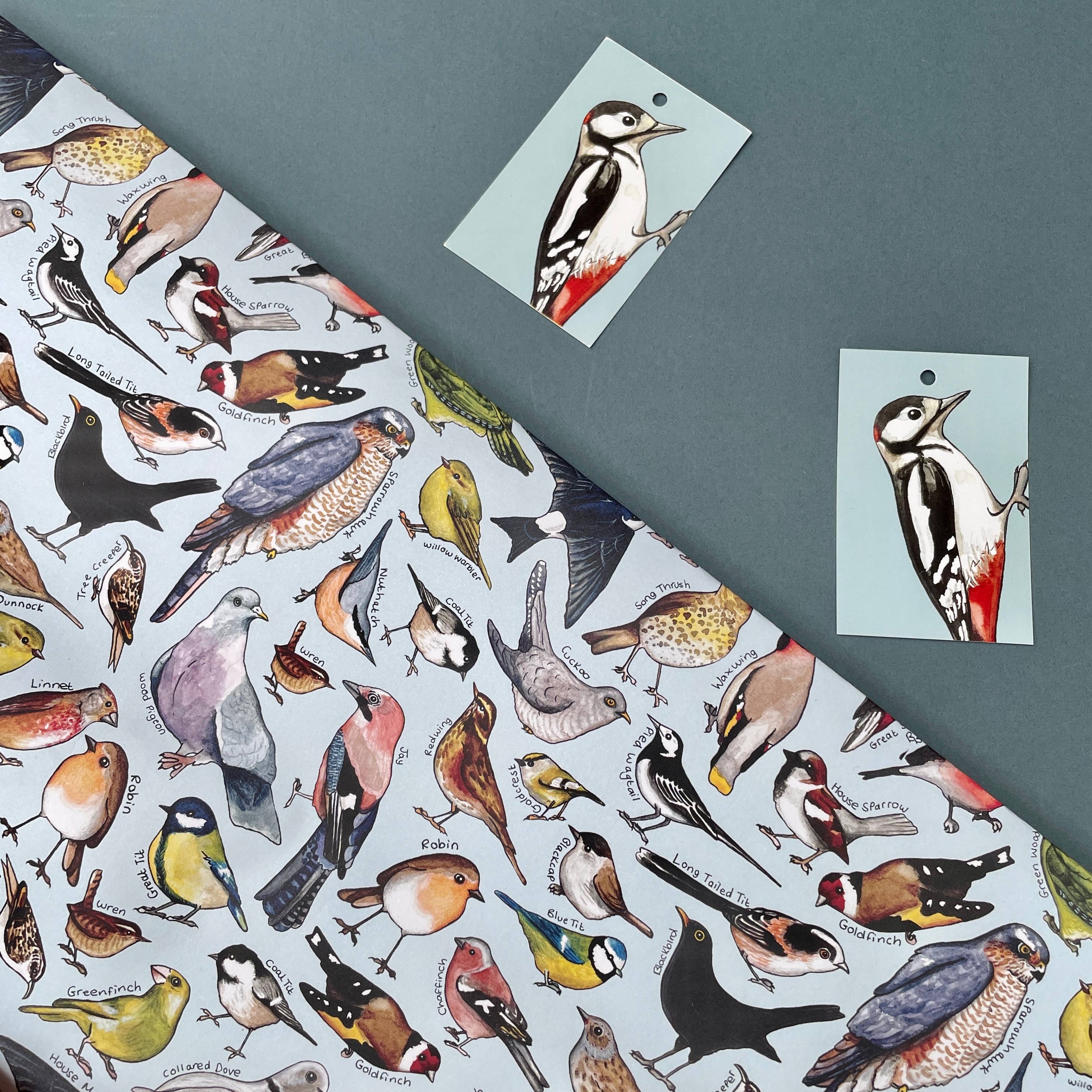 Alexia Claire Ltd - Wholesale Flat Wrap - Garden Birds of Britain wrapping paper Sheets2
