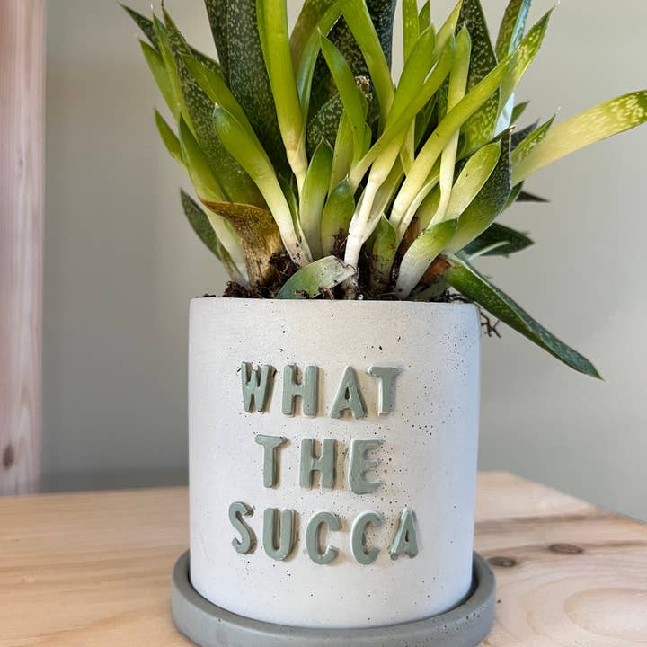 Nora - Wholesale Plant Pot - Funny Succulent Pots