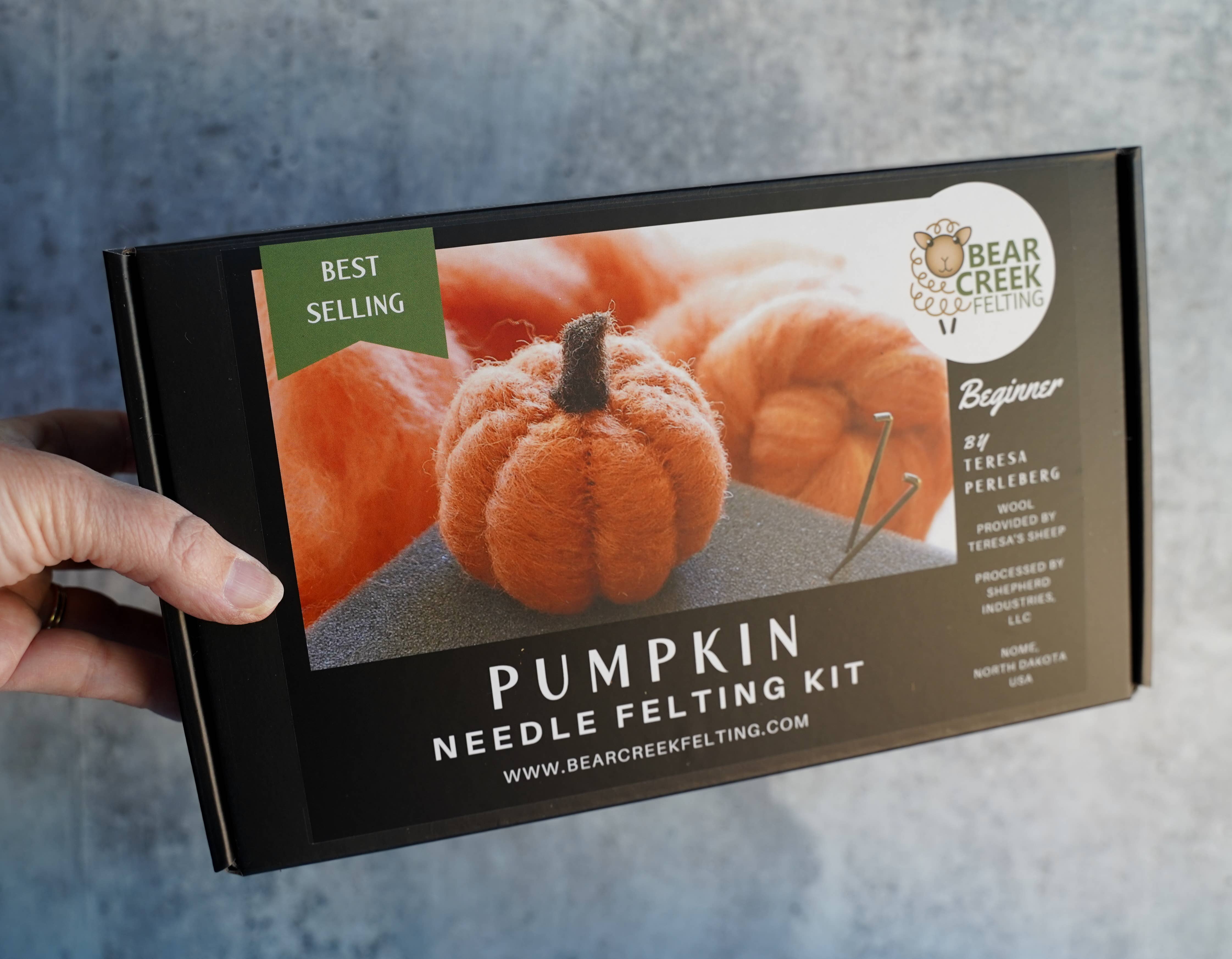 Bear Creek Felting - Vente Kit de bricolage - Kit débutant de feutrage à l'aiguille citrouille10