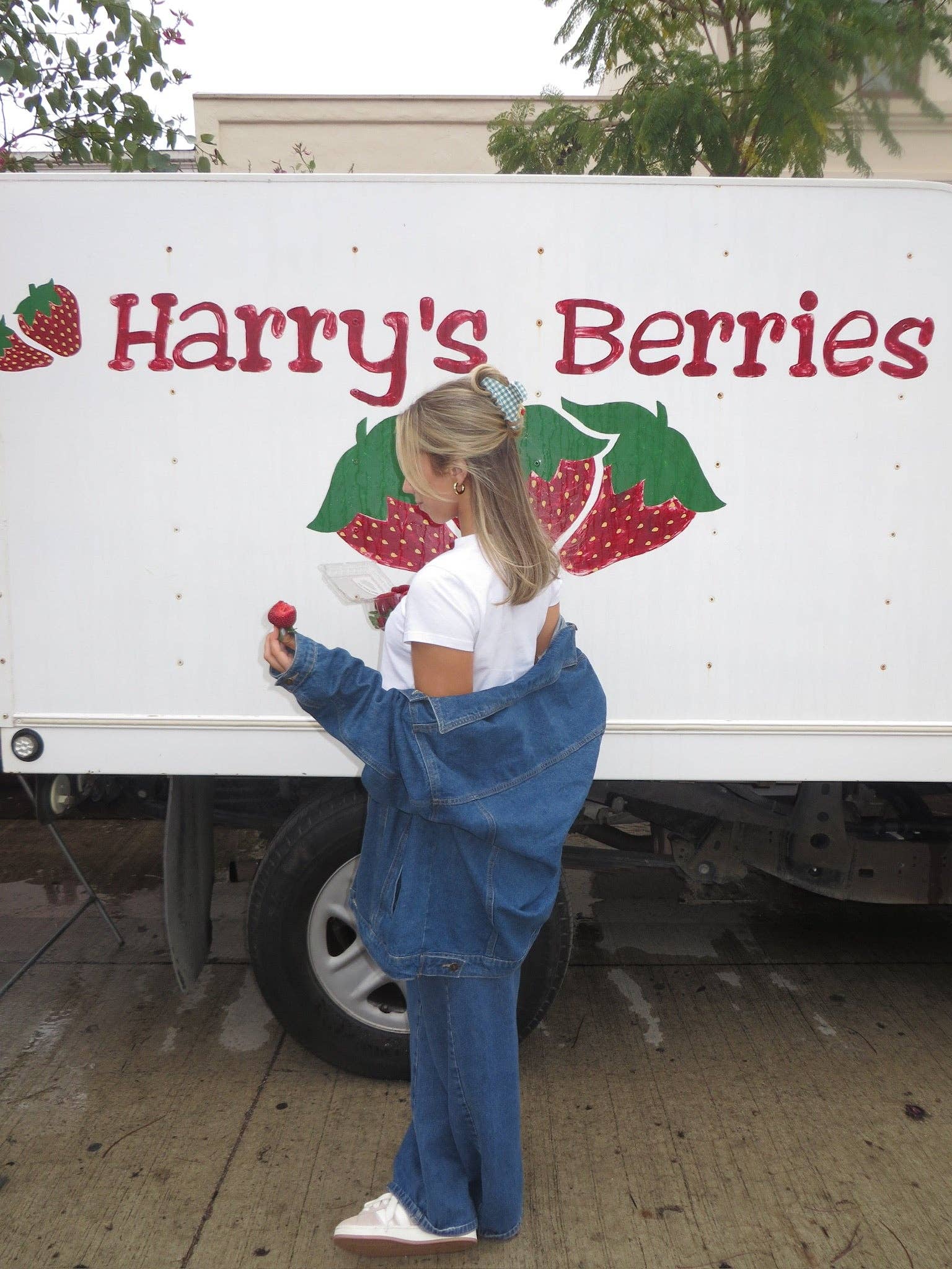 KAXI - Wholesale Hair Clip - Women's - BLUE GINGHAM STRAWBERRY CHARM CLAW3