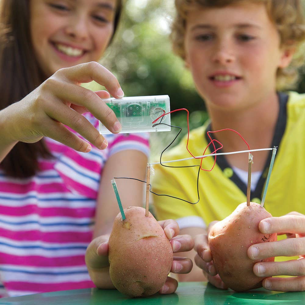 The Toy Network - Wholesale DIY Craft Kit - Kids - Green Science/Potato Clock6