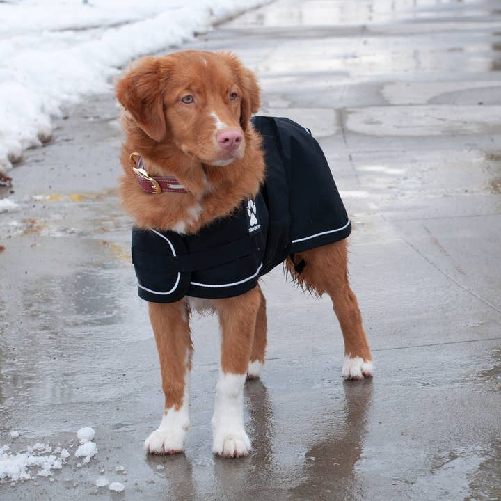 Shedrow K9 - Wholesale Pet Raincoat - Dog - Shedrow K9 Harbour 2.0 Rain Coat - Black