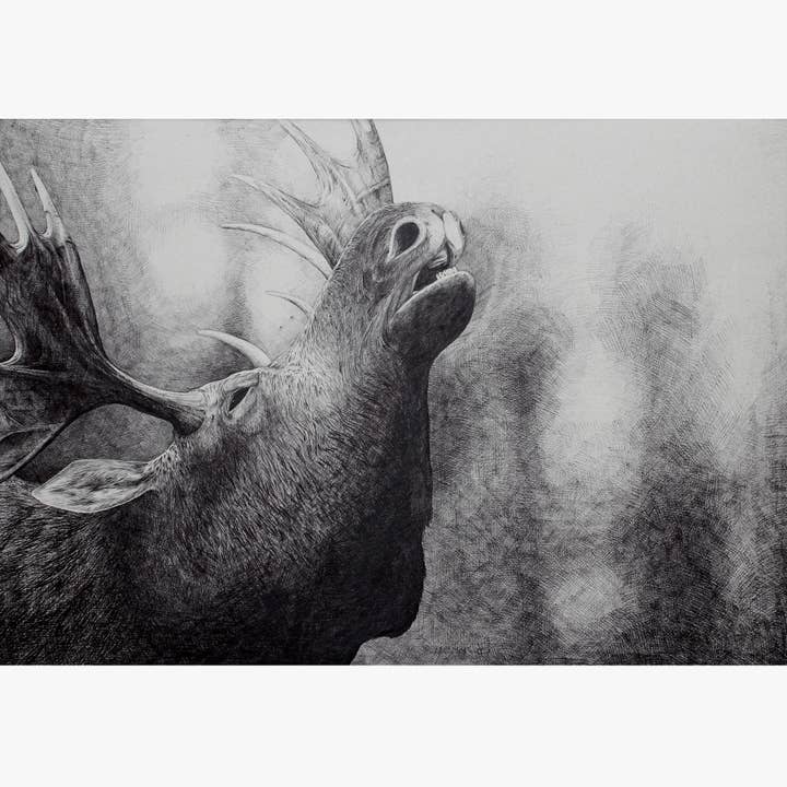 Moose - A3 for wholesale by Løfberg og Noack