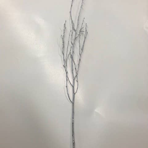 Winter Woods - Wholesale Dried/pressed flowers - Colored Birch Branches6