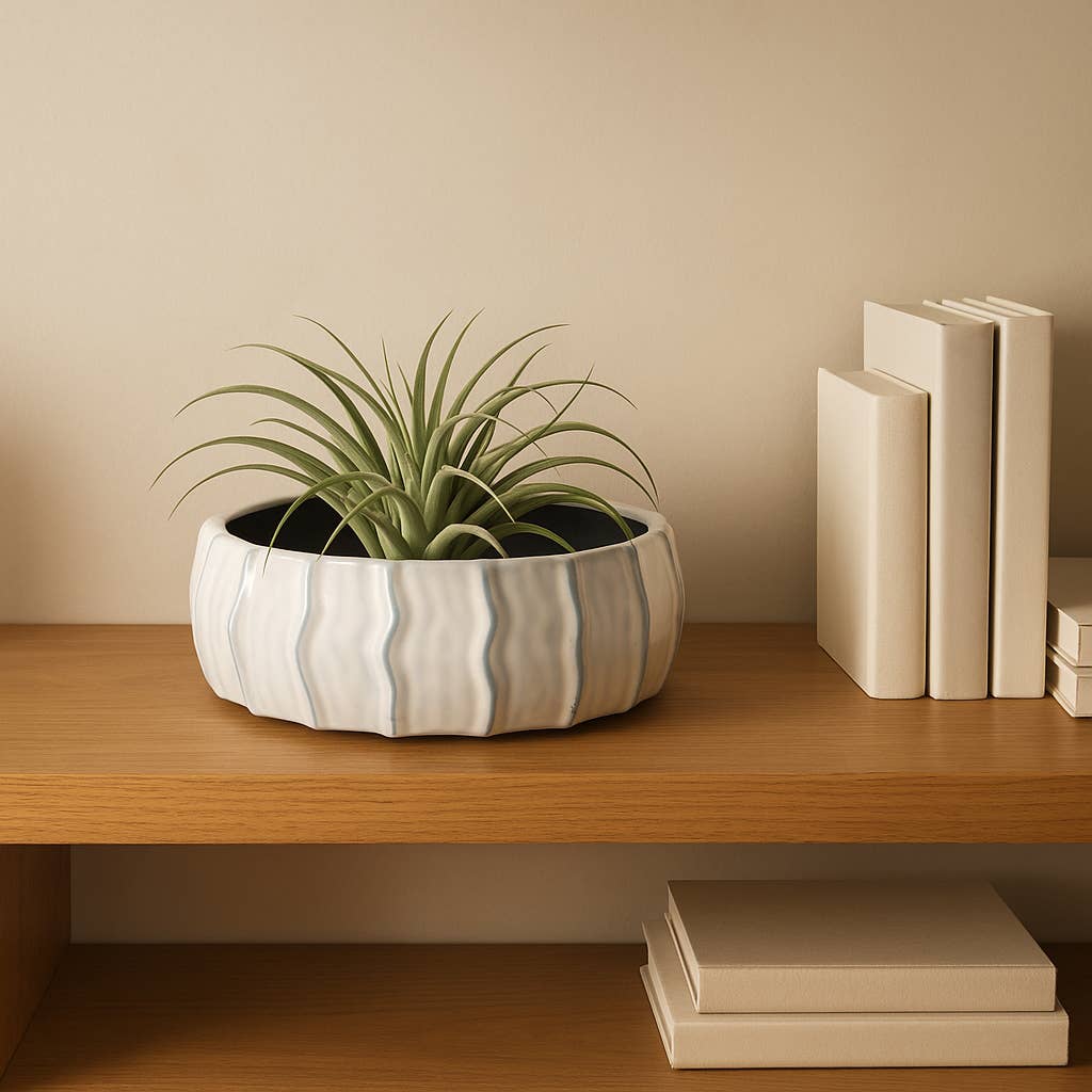 Sagebrook Home - Wholesale Decorative Plate/Dish/Bowl - Decorative Bowl - White/Blue Ceramic Sea Urchin, 11 in.2