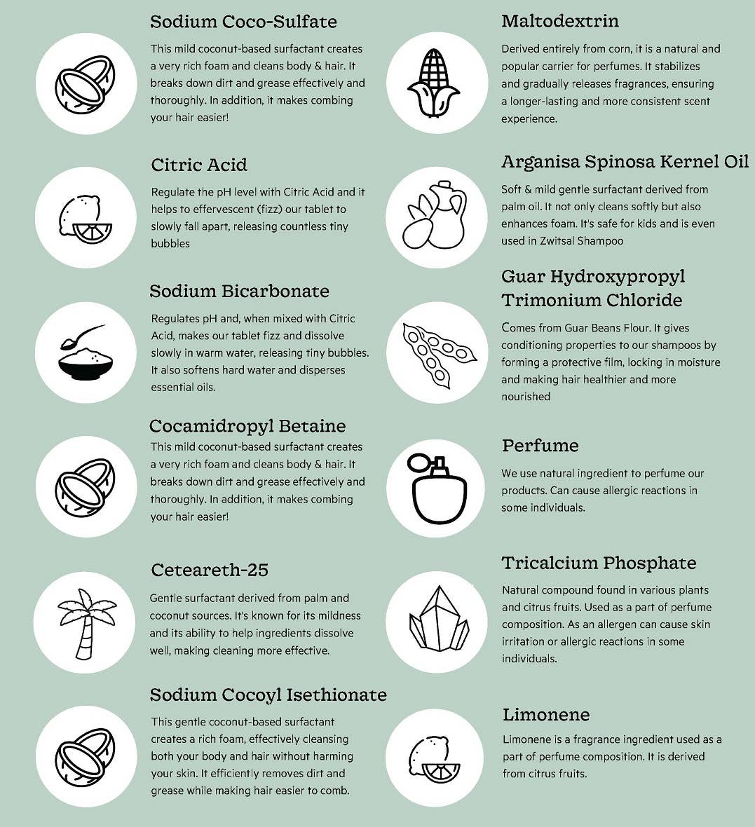 The Green Lab Co. - Wholesale Hand Soap/Wash - Refill set hand soap tablets - Eucalyptus & Basil3