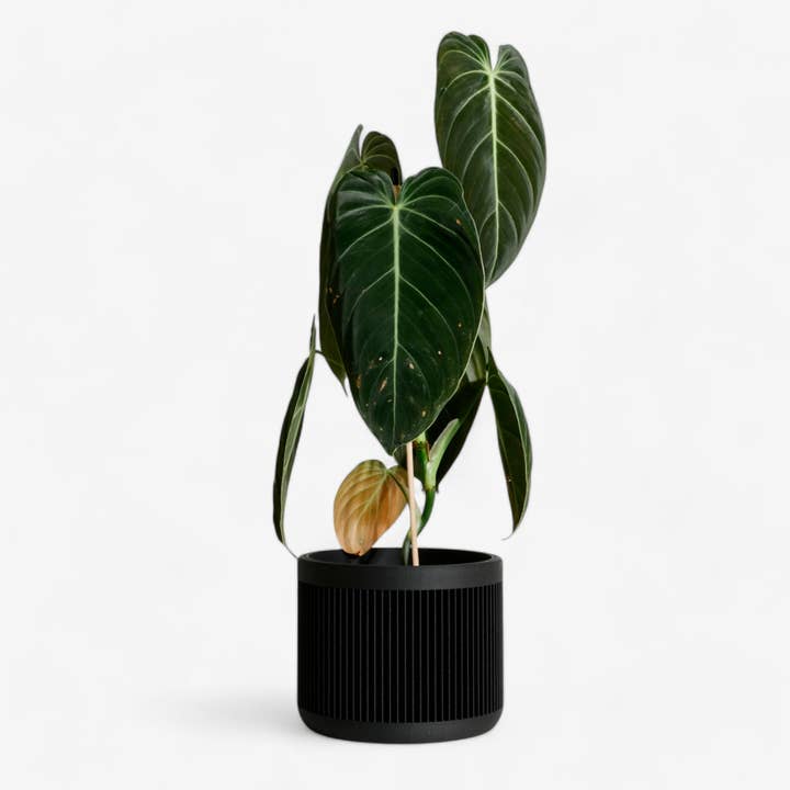 MINIMUM DESIGN - Wholesale Plant Pot - Indoor Plant House - Beige, Black, Green, Mist white, Terracotta - JAPAN4
