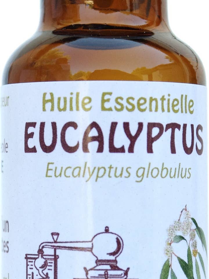 Eucalyptus globulus Huile Essentielle HEBBD 20ml pour la vente par Céven'Arômes