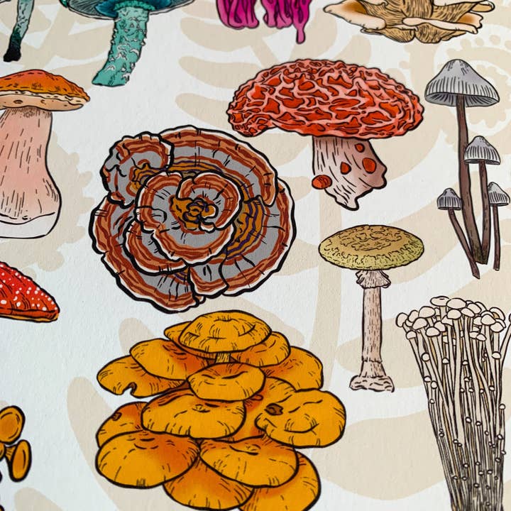 Bean Horse Car Designs - Wholesale Art Print - A to Z Mushrooms Art Print5