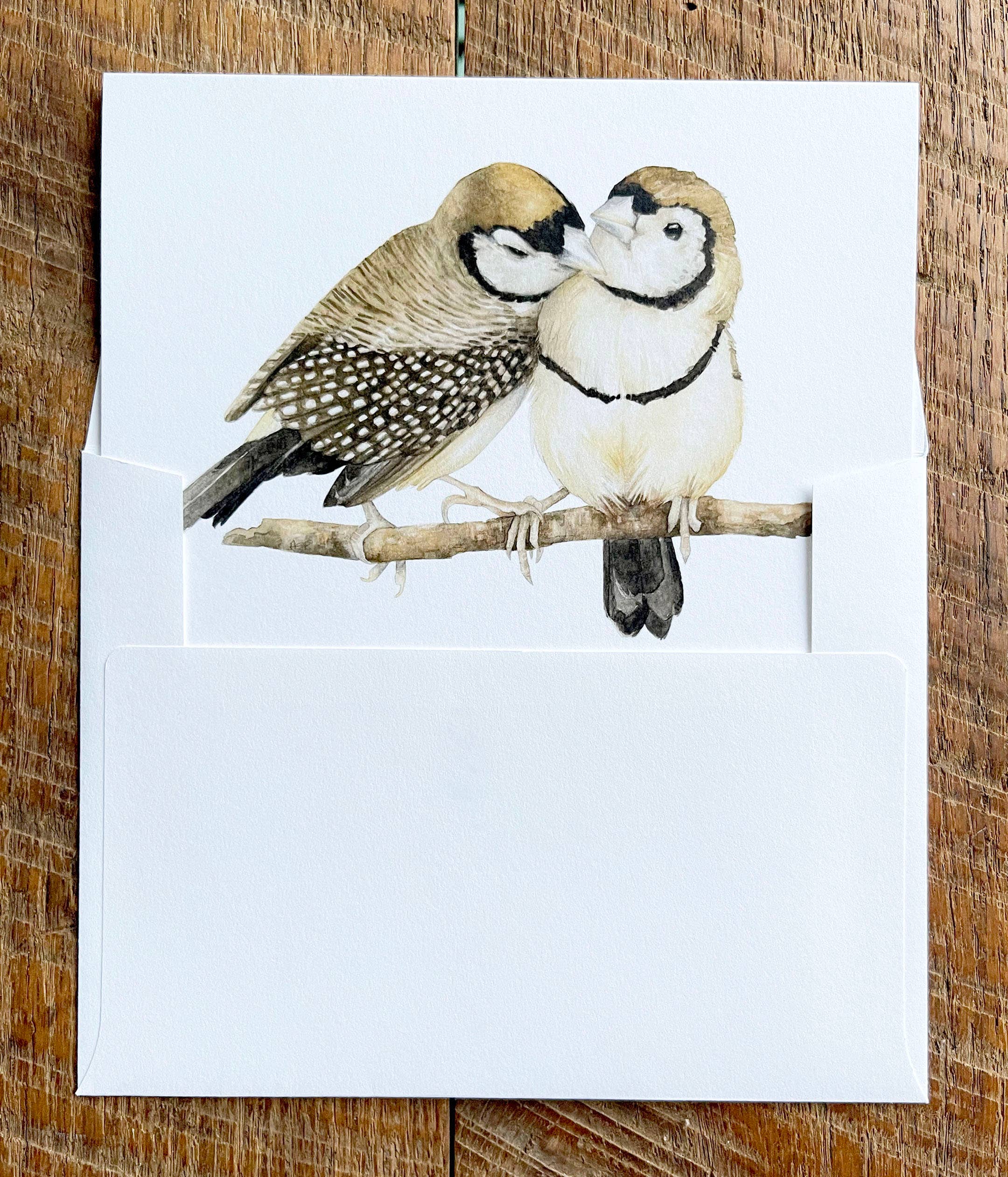 Amy Shawley Paquette - Wholesale Everyday Greeting Card - Owl Finches - Blank Note Card1