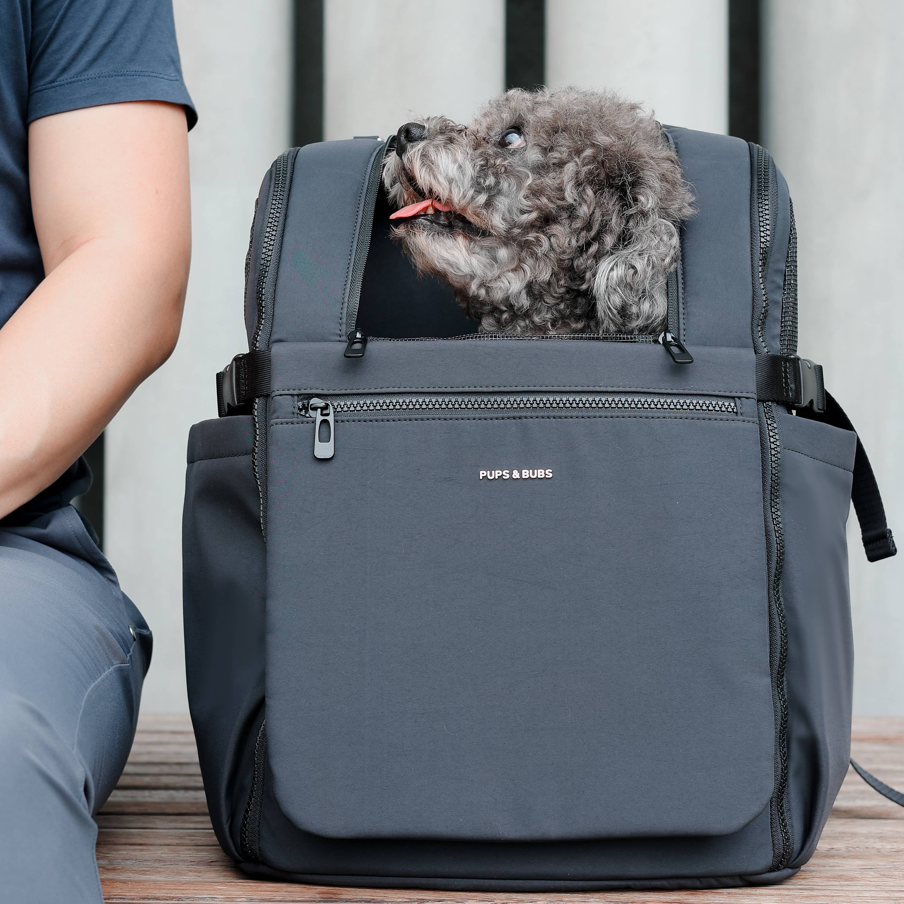 Pups & Bubs - Vente Caisse de transport – chat et chien - Sac à dos porte-animal Traveler pour chien et chat3