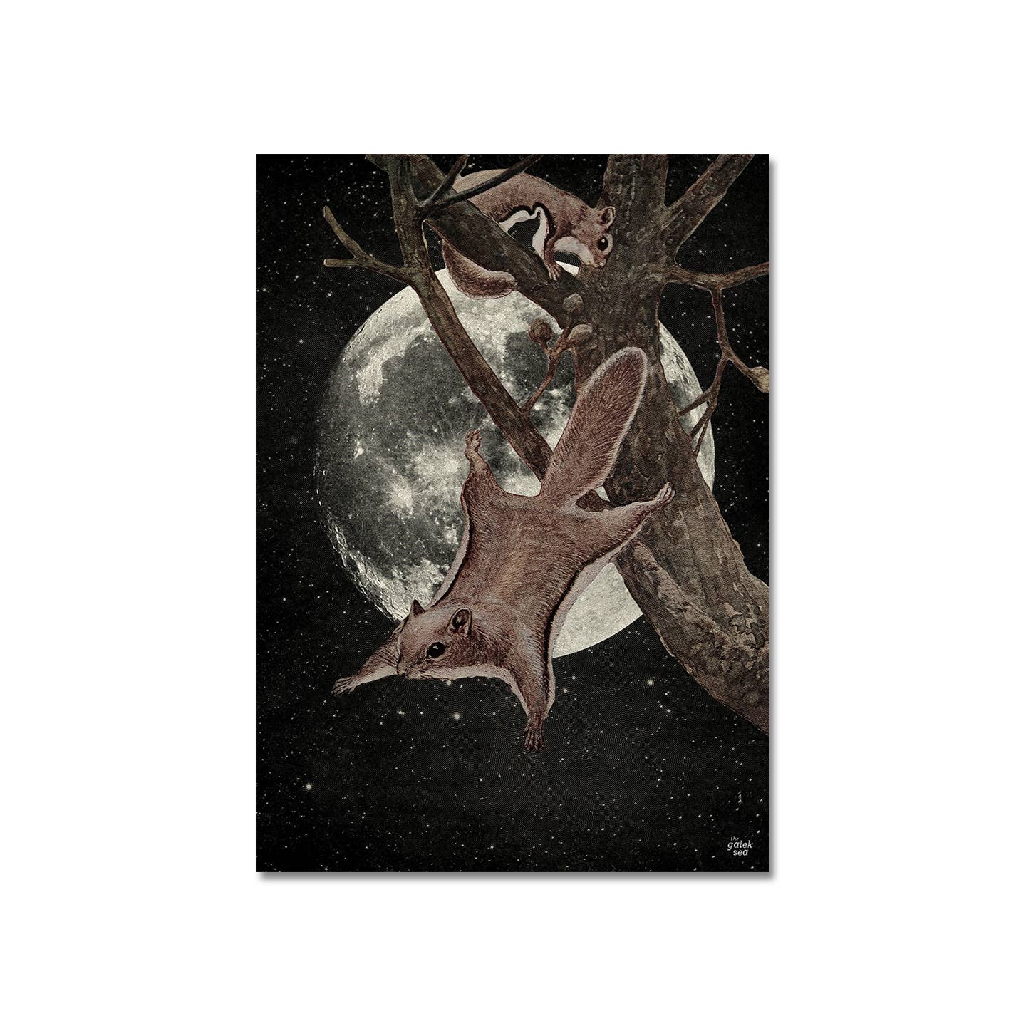 The Galek Sea - Wholesale Art Print - Squirrel Away Print0