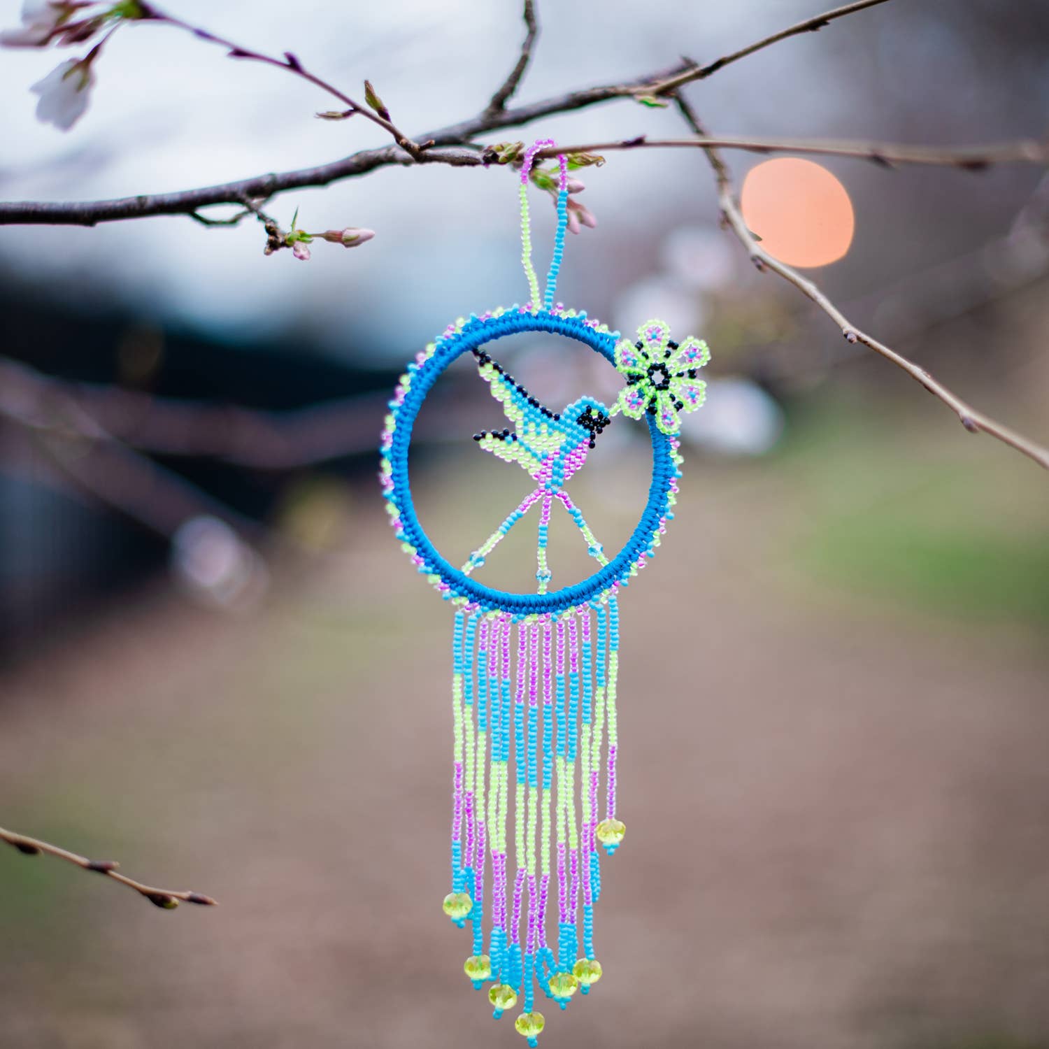 Lucia's Imports - Wholesale Dream Catcher - Hummingbird Dream Catcher5