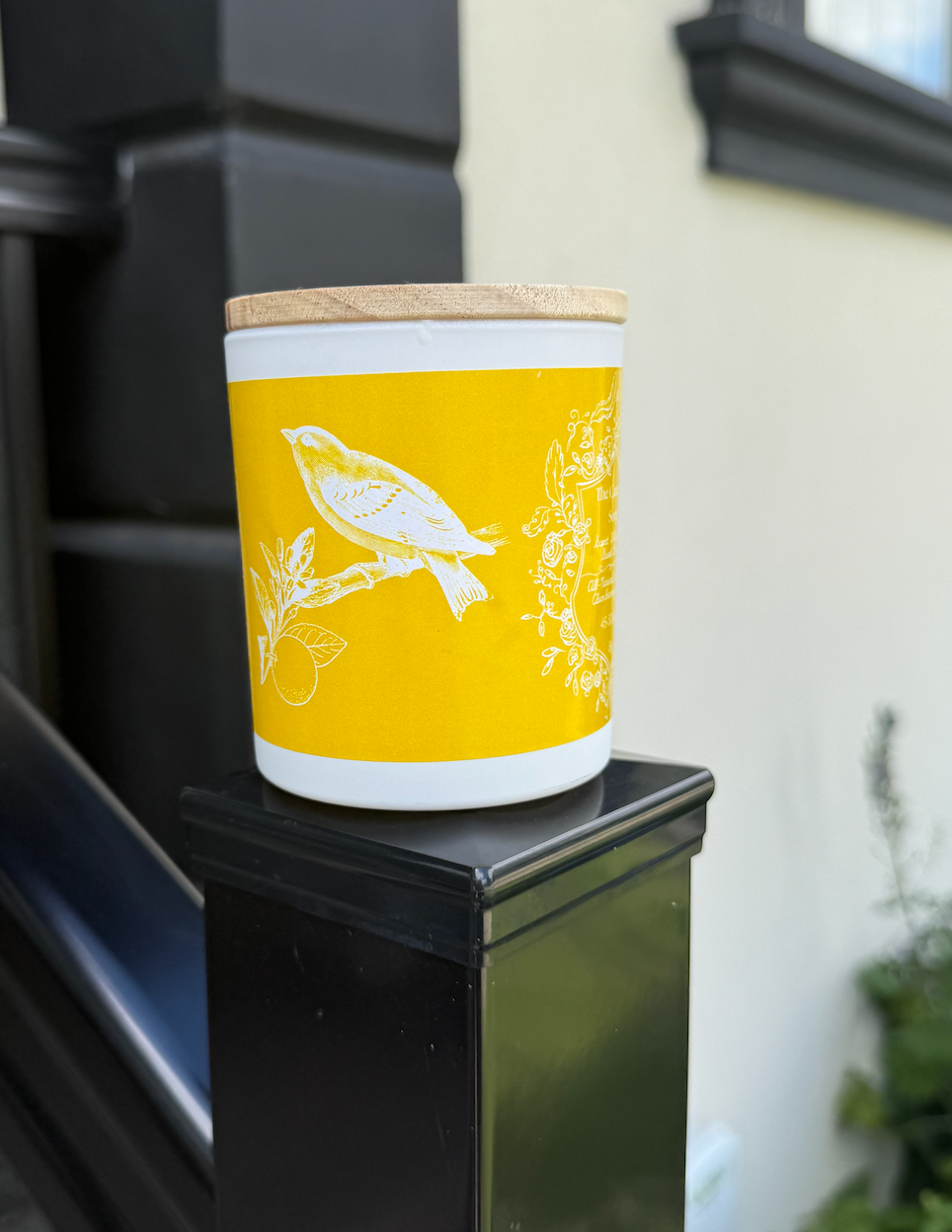 Feather & Flame Inc - Wholesale Jar/Filled Candle - "The Canary's Song " - Sweet Orange 100% Soy Wax Candle8