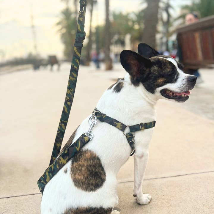 Dog Harness - “Camouflage” Tape Model for wholesale by Izala Dog