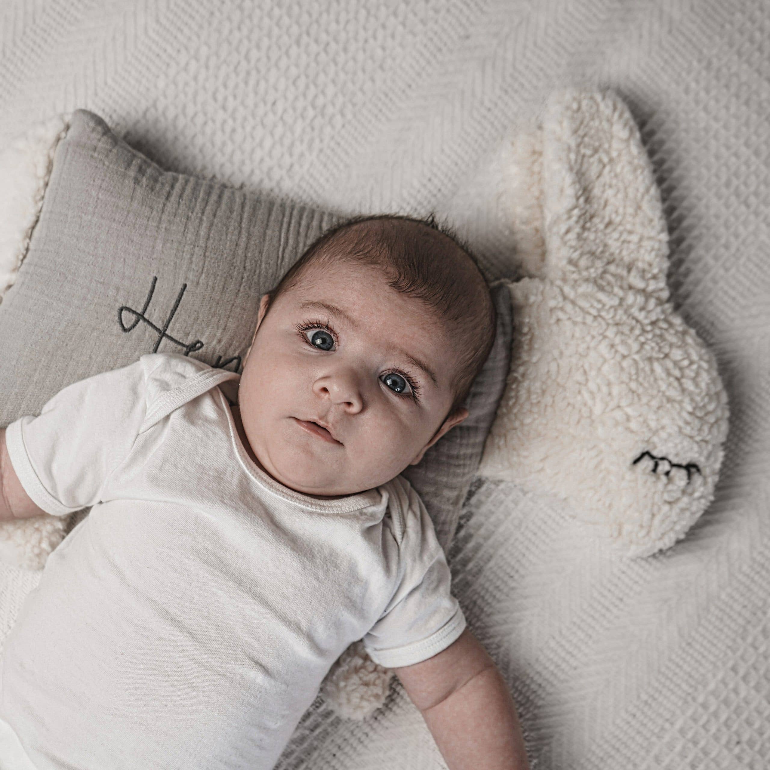 Die Gräfin – wholesale Fyllda/plyschleksaker - Barn och baby – Gosfår, Beige10