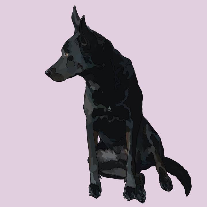 Bella le chien pour la vente par Dogs And Designs