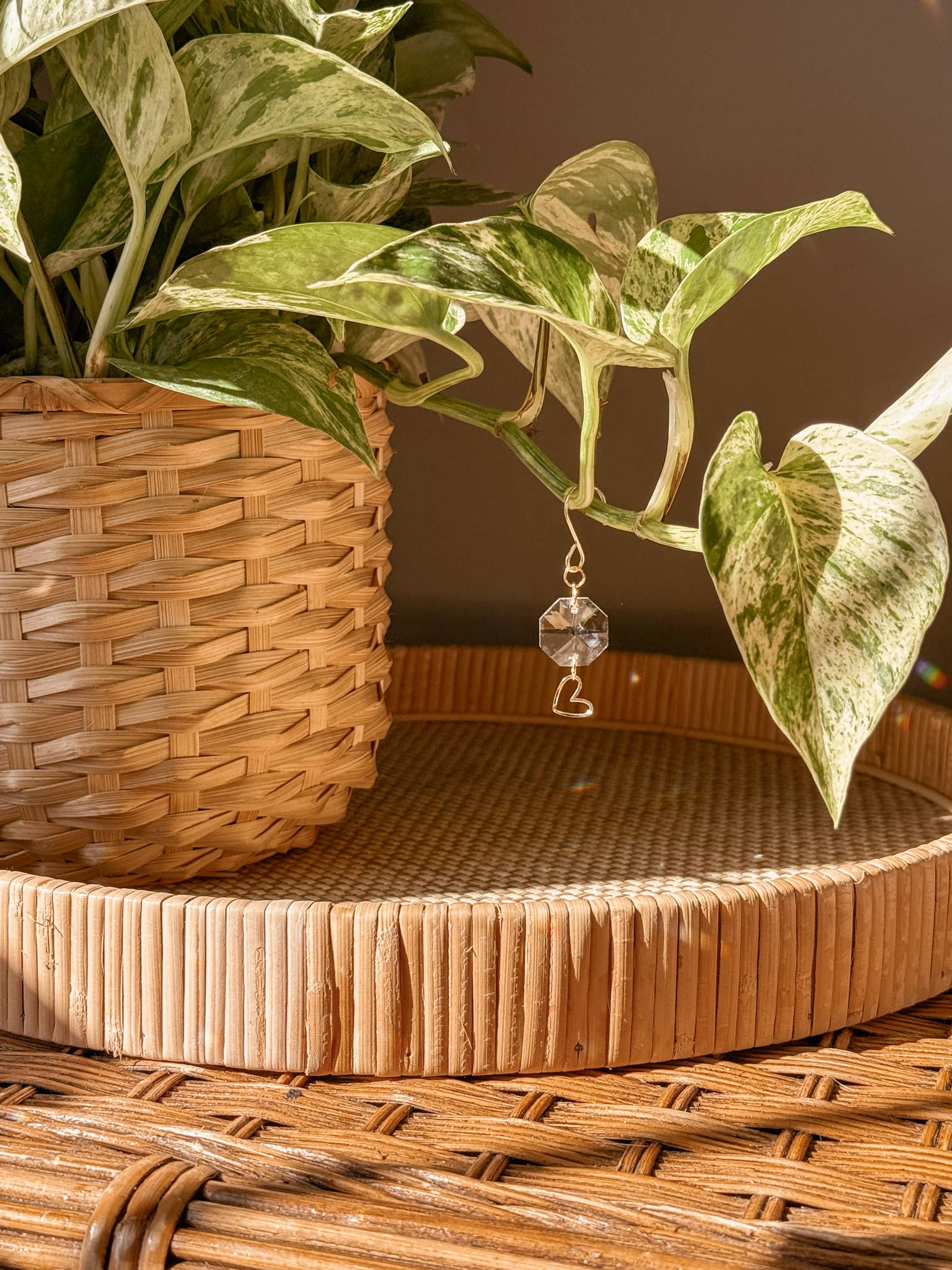 Meraki The Studio Co. - Wholesale Suncatcher - Plant Charm | Suncatcher + Heart | Houseplant Vine Jewelry2