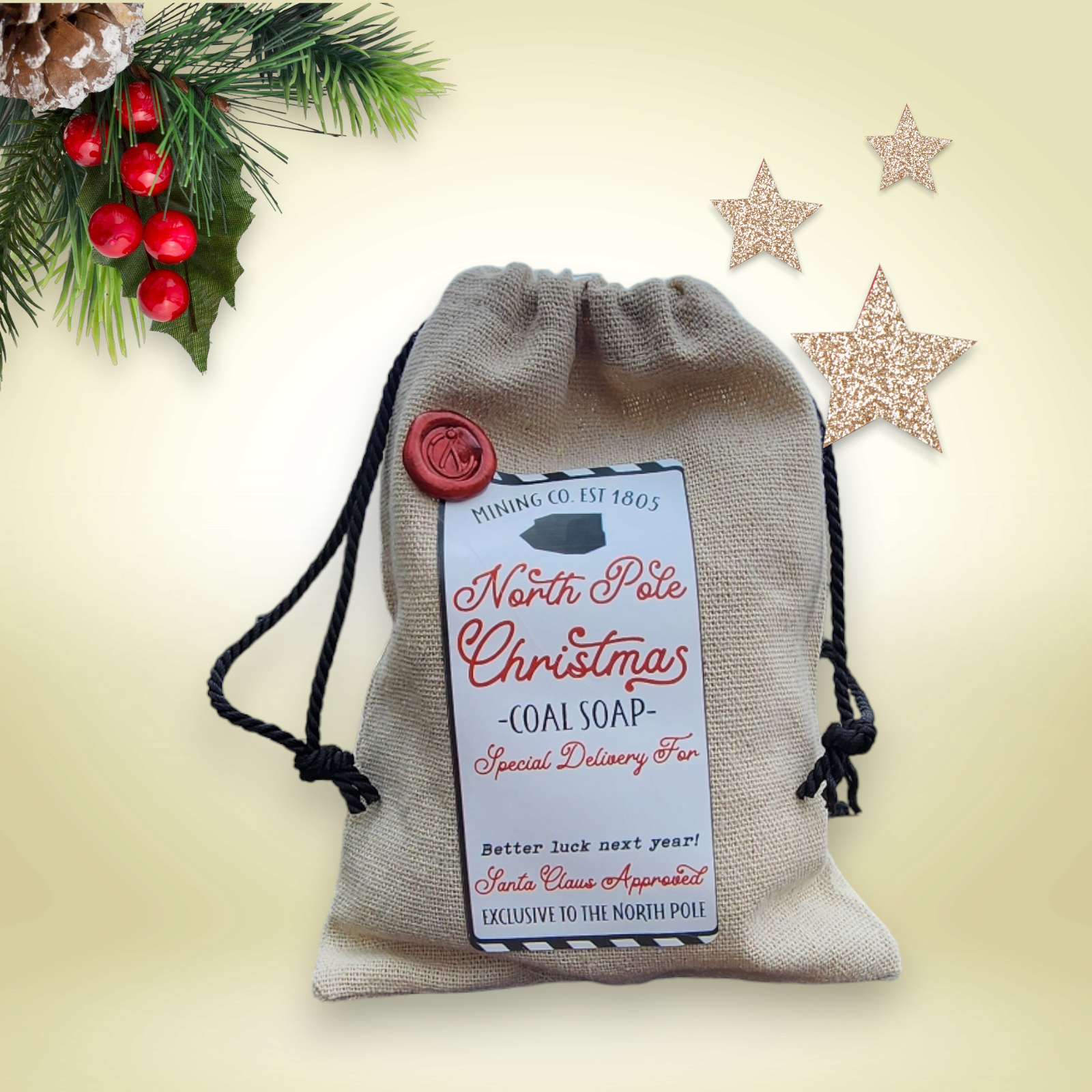 Black Cauldron Soap Co. - Wholesale Bar Soap - Bag of Coal Santa's Naughty List -  Face & Body Soap  - Coal Stocking, Christmas Coal, Winter Gift, Coal Soap, Lump of C2