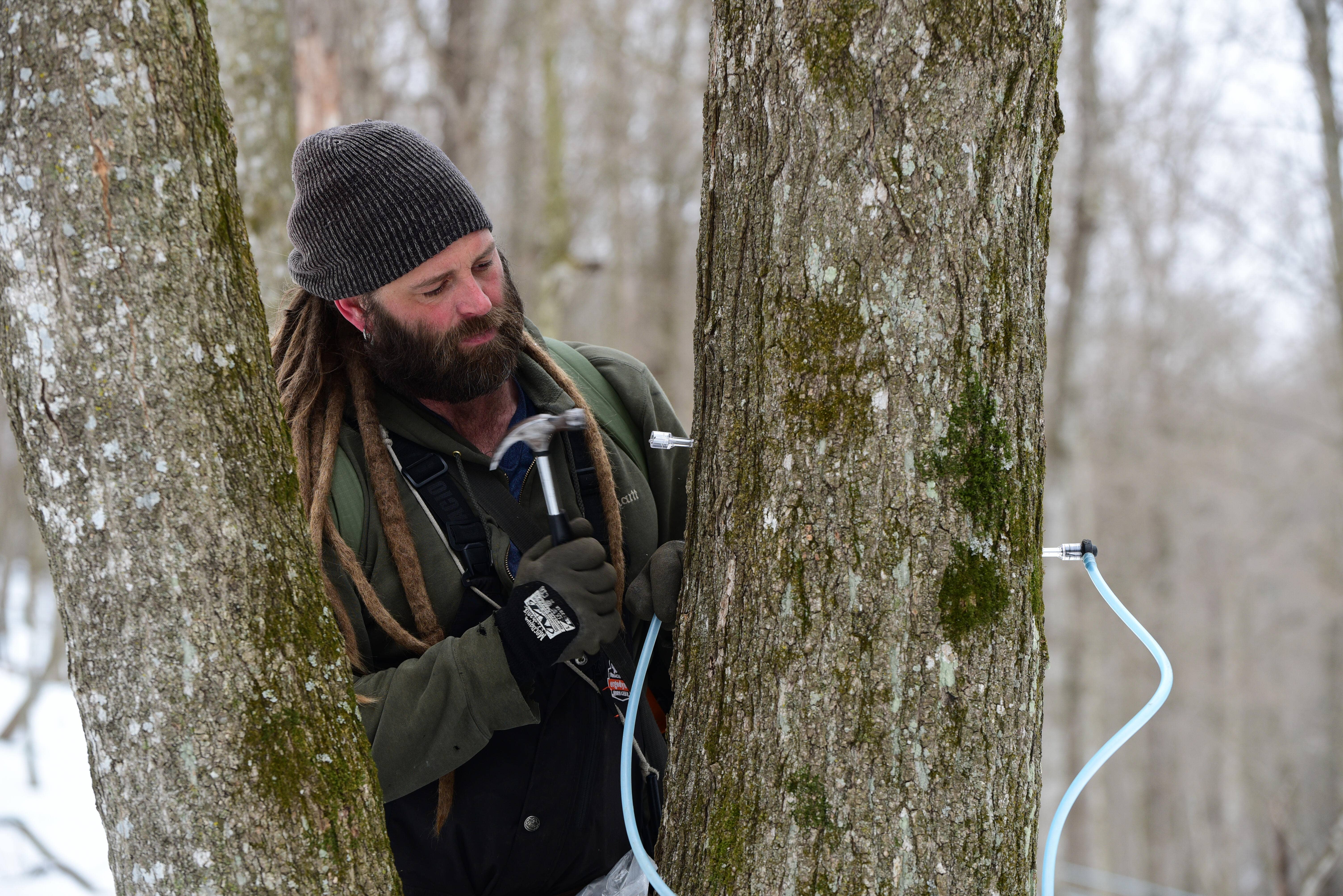 Maple Valley Cooperative - Wholesale Maple Syrup - Maple Syrup Organic Dark & Robust 12 oz. Flat Glass3