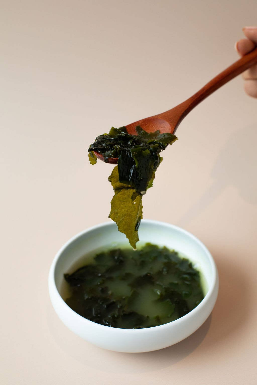 OMA Food - Vendita all'ingrosso Brodo - Zuppa di alghe pronta a base di brodo di ossa, confezione4