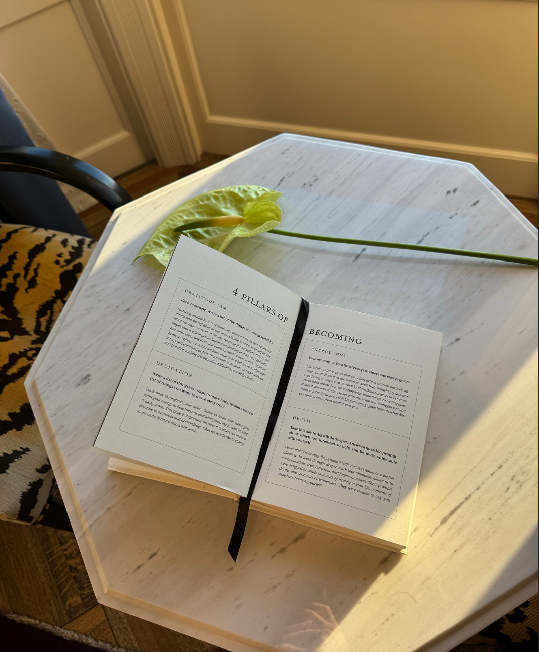 Thought Catalog - Wholesale Journal/Diary - The Becoming Journal - a guided journal5