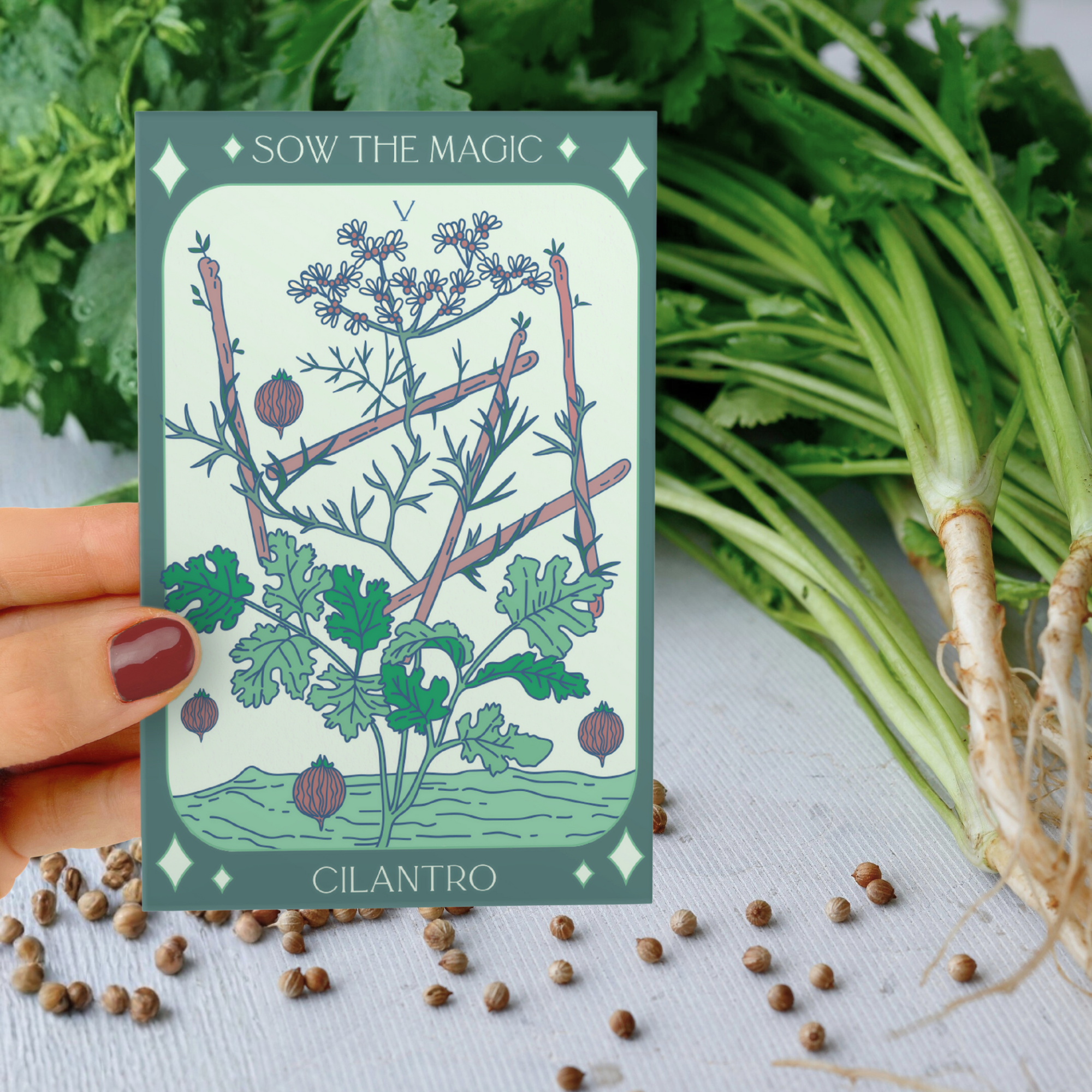 Sow the Magic - Wholesale Plant Seeds - Culinary Herb Bundle Seed Collection3