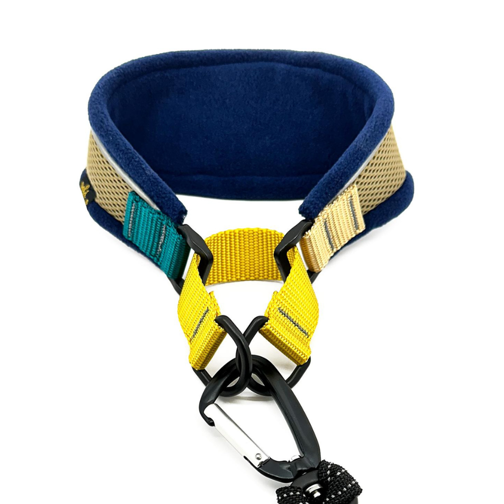 Gold Paw Series – Engroshandel Halsbånd - Hund – Letvægts halsbånd i martingale-stil til sarte hunde3