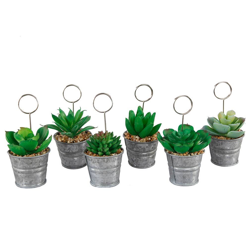 Flora Bunda Inc - Wholesale Place Card / Place Holder - Mini Succulent Memo Clip – Set of 42