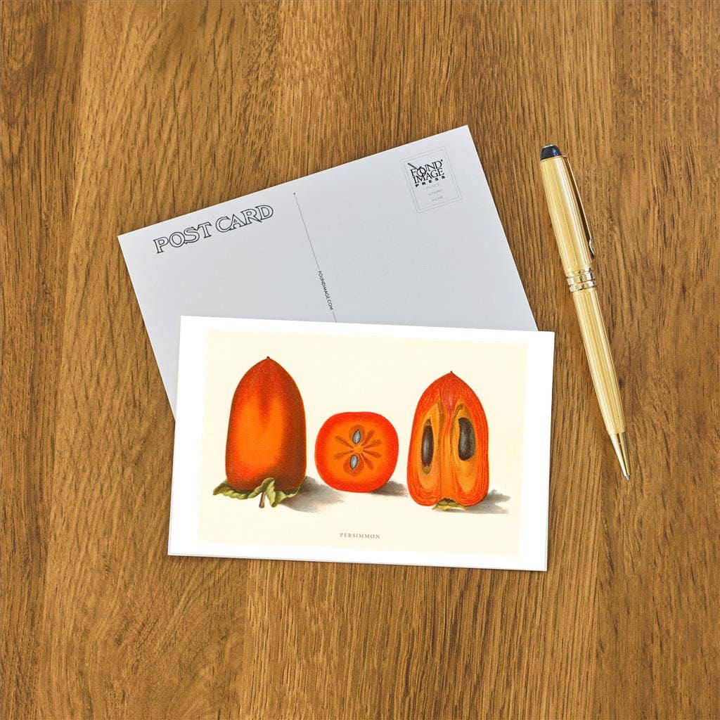 Found Image Press - Wholesale Postcard - Postcard GD-105 Persimmon1