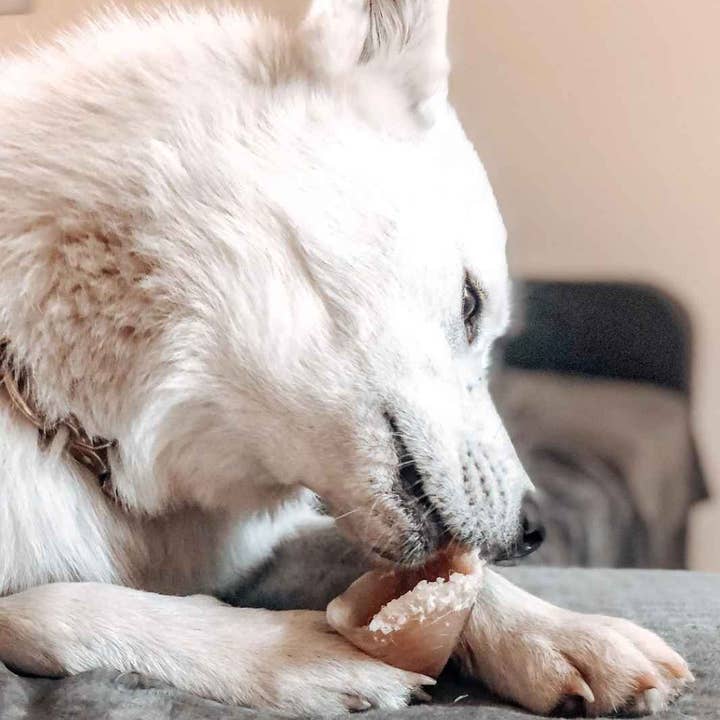 Truffe Délice - Wholesale Pet Treats - Dog - Garnished veal shank9