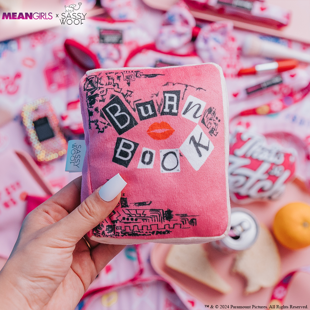 SASSY WOOF - Wholesale Pet Squeaky Toy - Dog - Dog Toy - Mean Girls™1