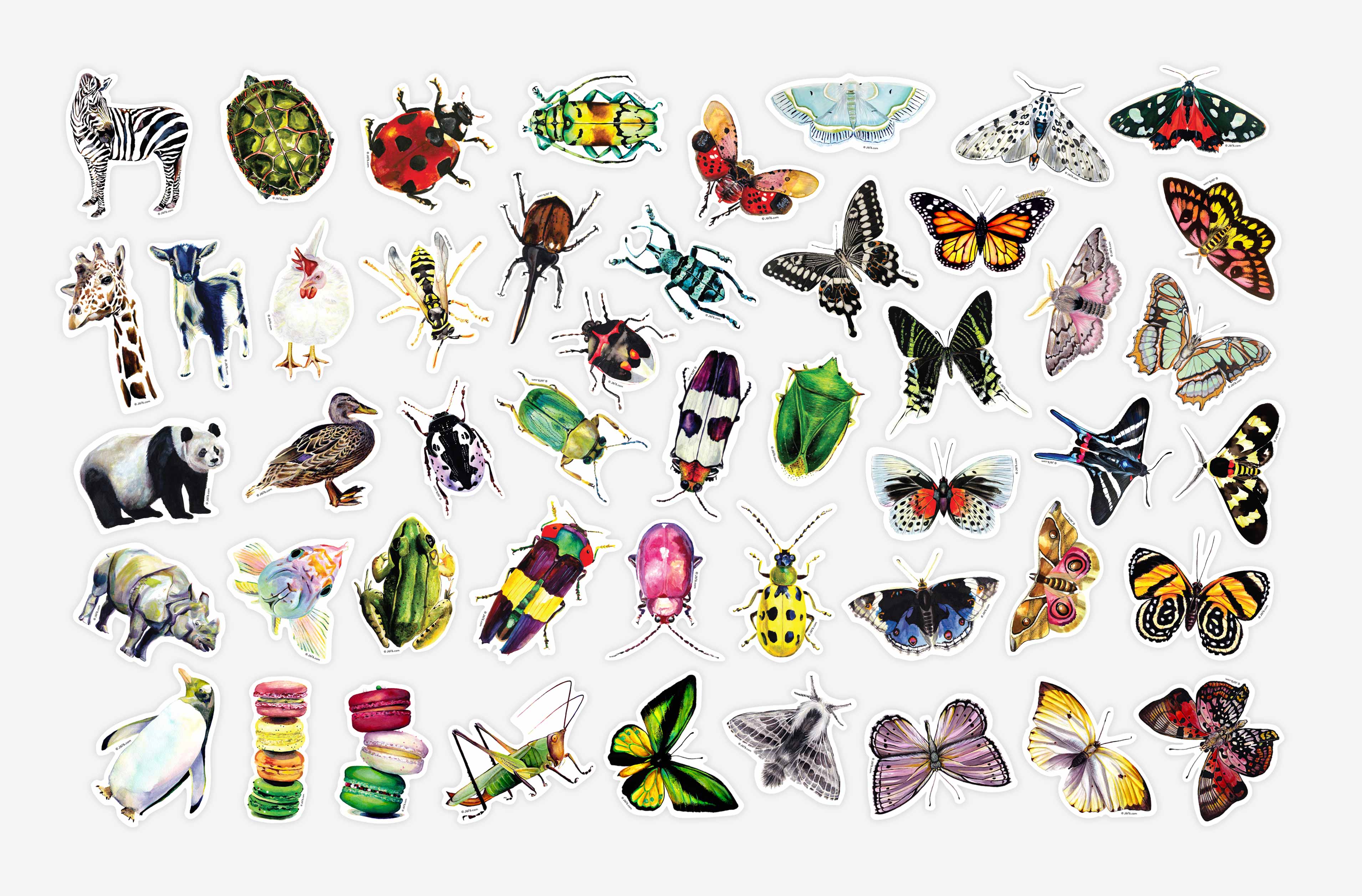 J6R6 - Wholesale Sticker - Weevil Bug Vinyl Sticker3