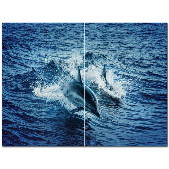 Delphin Keramikfliese Keramikfliesen-Wandbild PT500527 für den Großhandel von Picture-Tiles.com