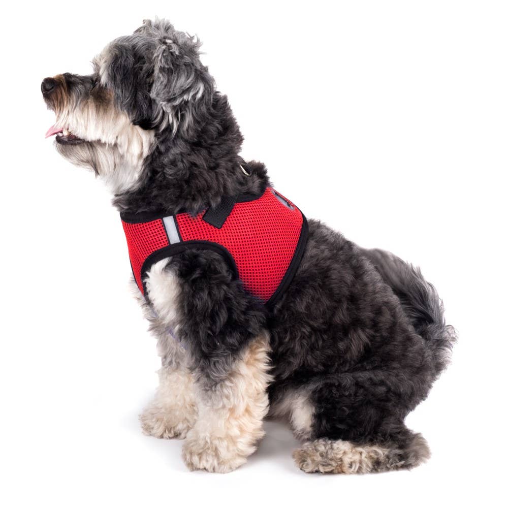 The Worthy Dog - Wholesale Pet harness – Dog - Sidekick Harness11