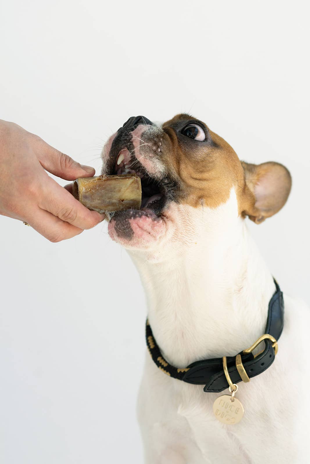 Winnie Lou - Vente Os à mâcher – chien - Os de moelle de bison - 4"3