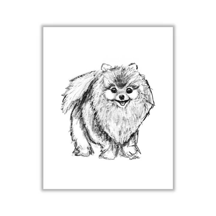 Pomeranian Black and White Sketchy Art Print for wholesale by The Painted Lace