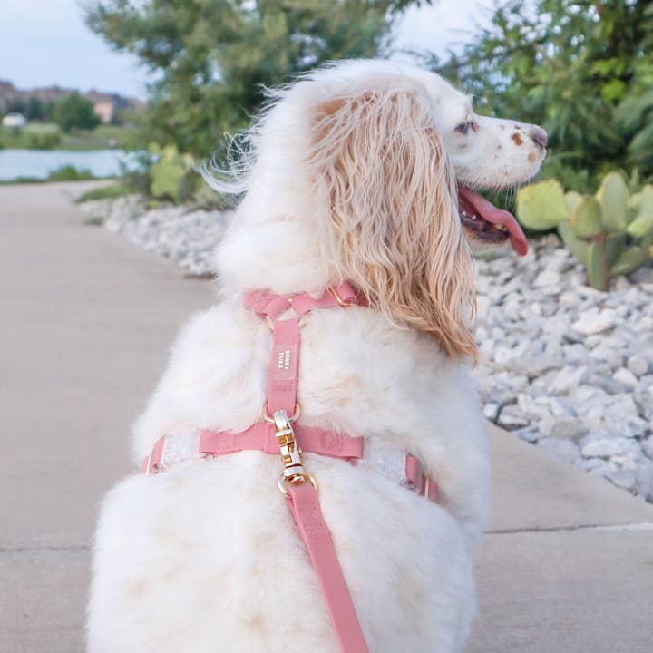 SUNNY TAILS - Wholesale Pet Leash - Dog - Perfect Pink Waterproof Cloud Dog Leash