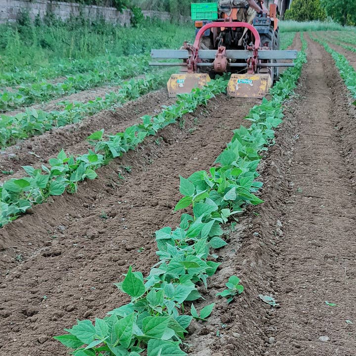 A.G.R. s.r.l. - Wholesale Soup - Lentil and cereal soup 300g.5