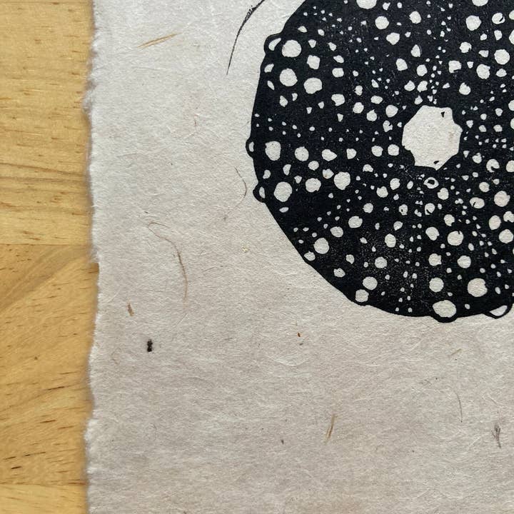 Adrift Prints - Wholesale Art Print - Urchin Mini Print3