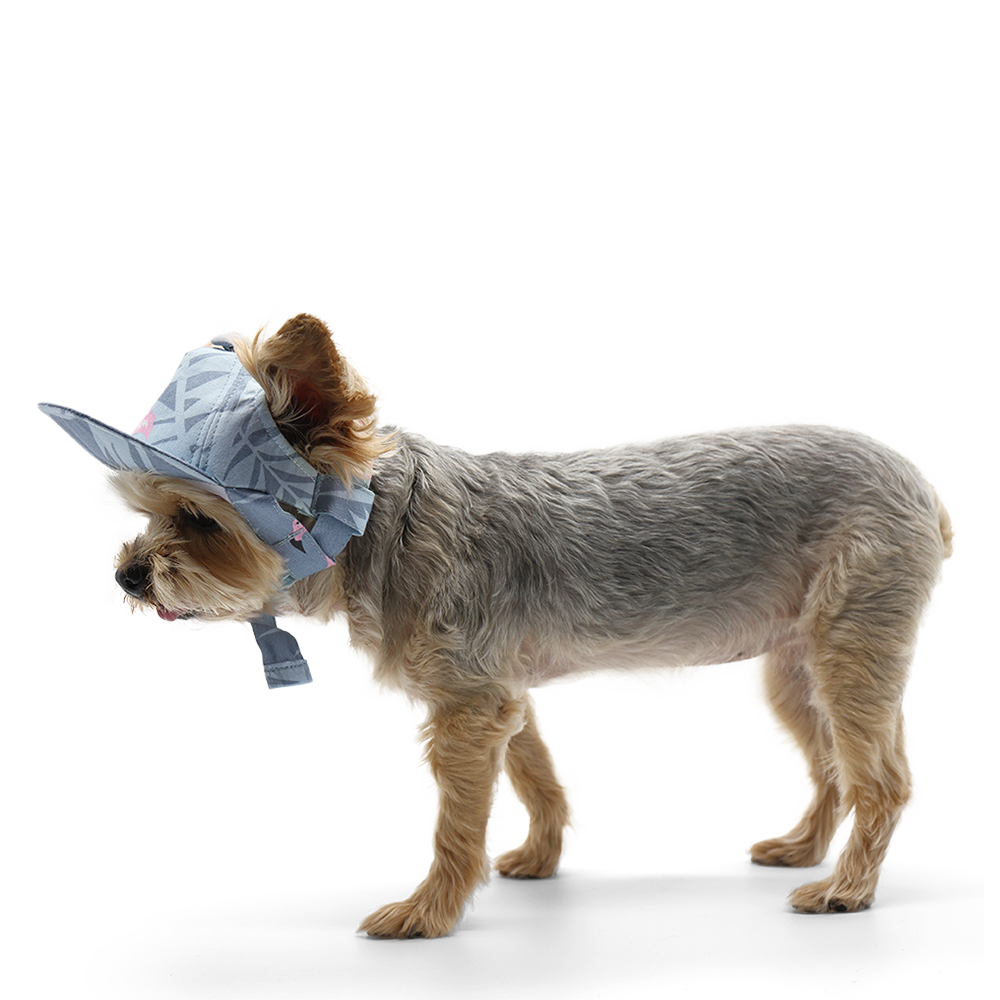 Dogo Pet - Wholesale Pet Hat - Dog - Flamingo Hat2