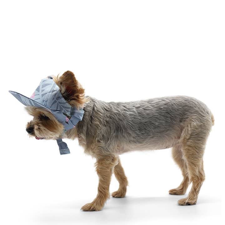 Dogo Pet - Wholesale Pet Hat - Dog - Flamingo Hat2