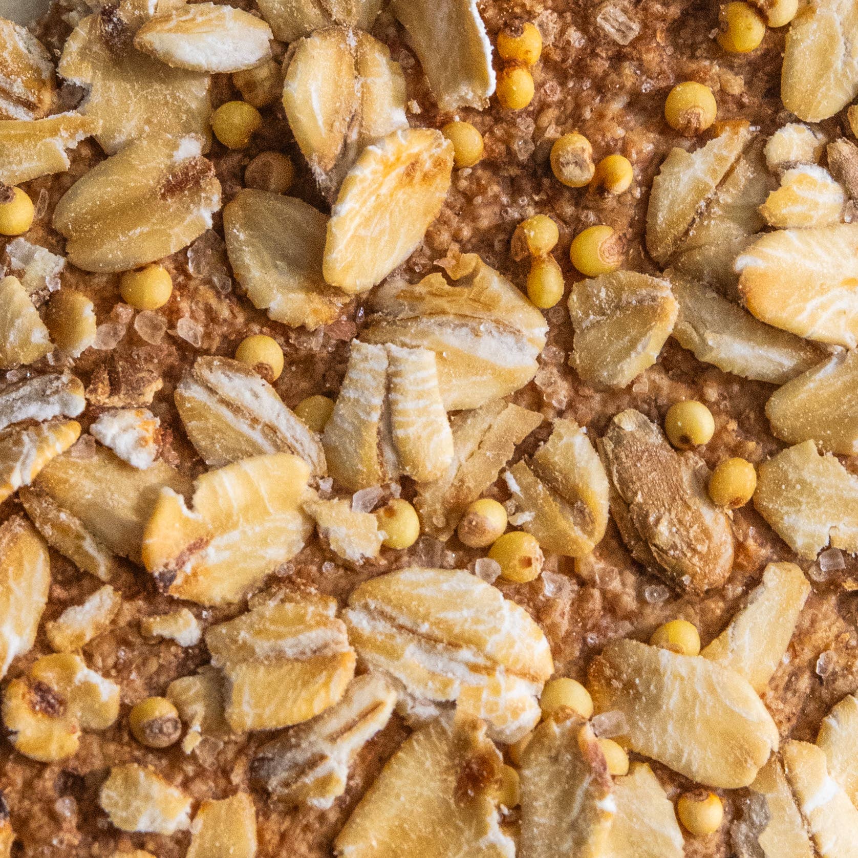 Potters Table - Wholesale Crackers - Harvest Grain Flatbreads2