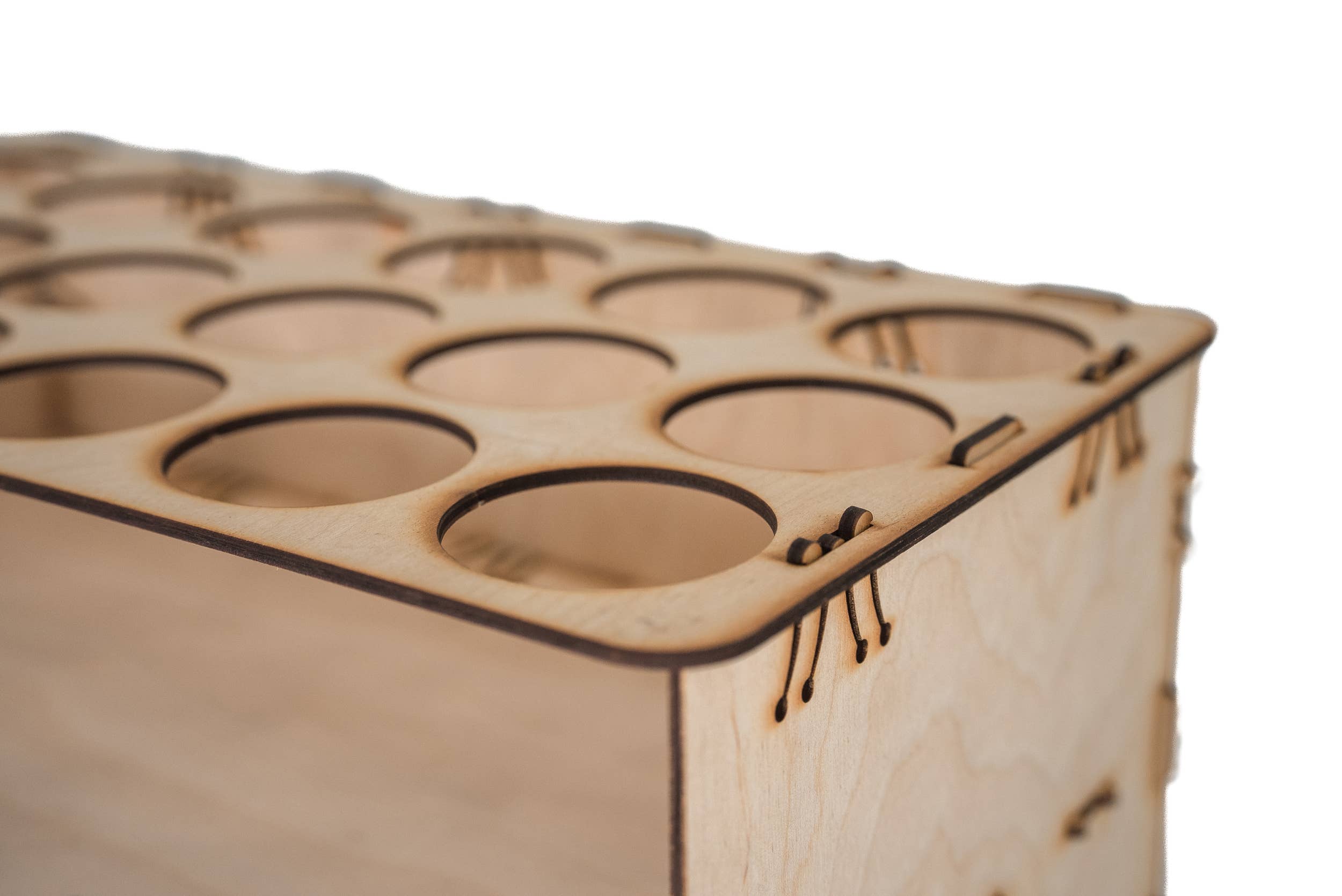 The Jonsteen Company - Wholesale Live Plant - Plant Trees Collection | 18 Live  Trees w/ Display6