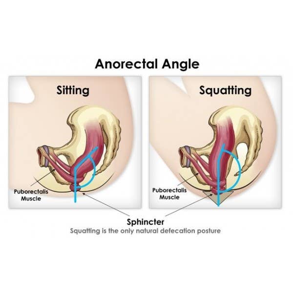 Ecopitchoun – wholesale Potty training chair – Ecopitchoun potty for babies from 8 months purple10