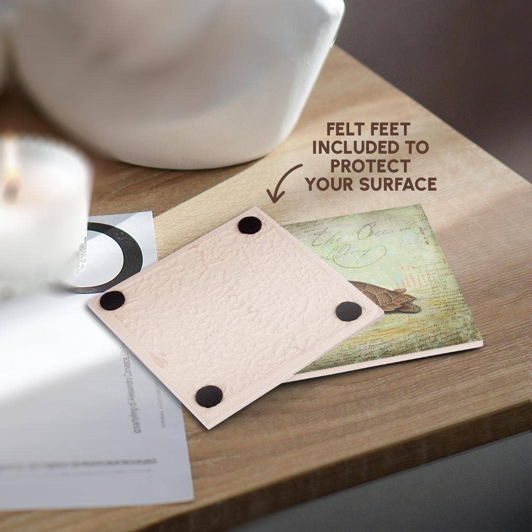 3dRose - Wholesale Coasters - 3dRose, Vintage Illustration Of Sea Turtle And Nest, Coaster3