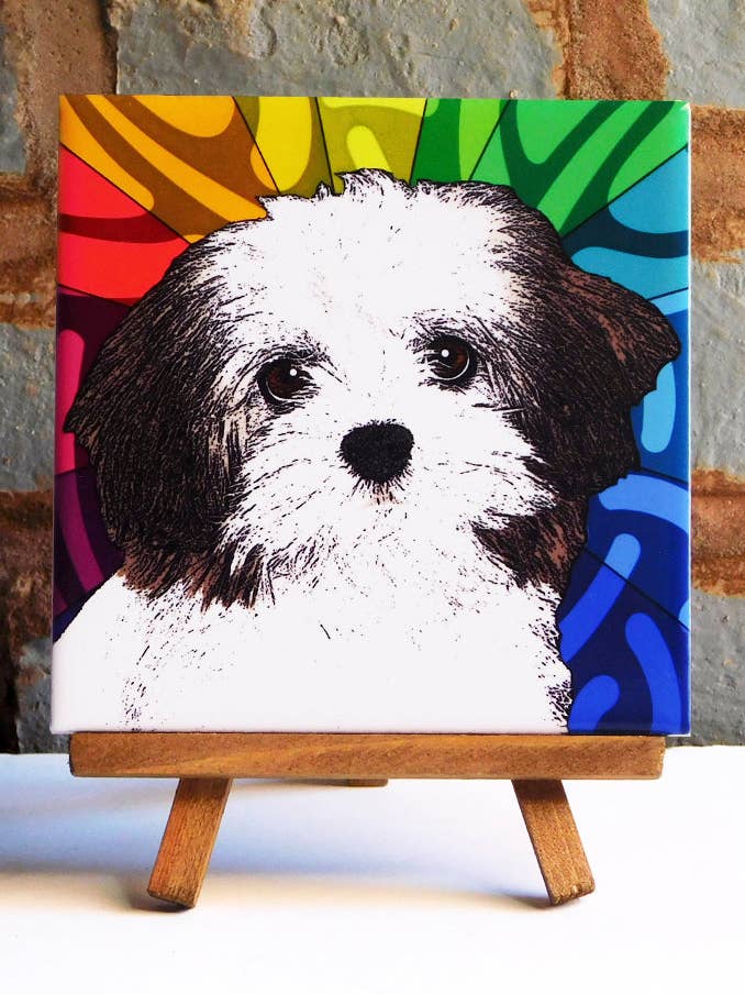 Piastrella in ceramica Havanese per la vendita all'ingrosso da parte di Sabyloo