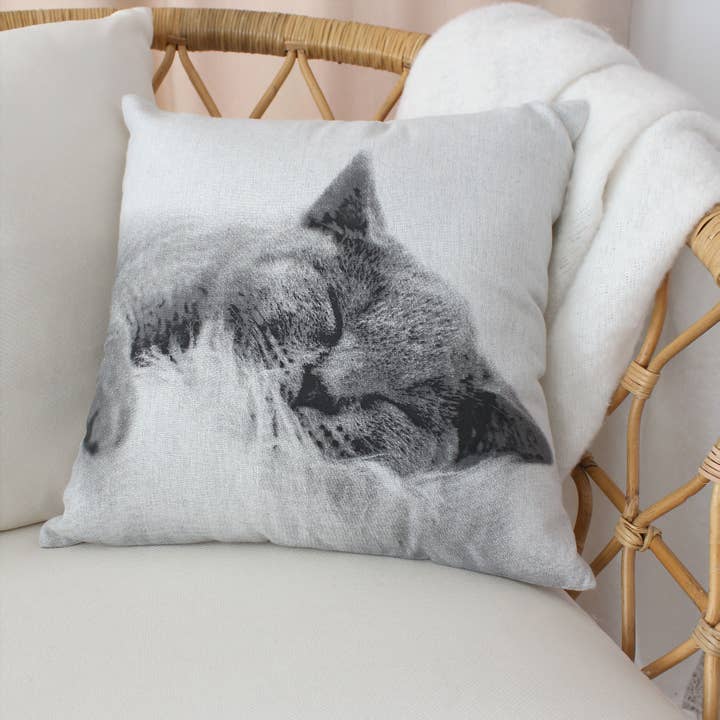 Removable Cat Cushion, 40x40cm, Vickie Collection for wholesale by DECOSTARS - CmaDECO