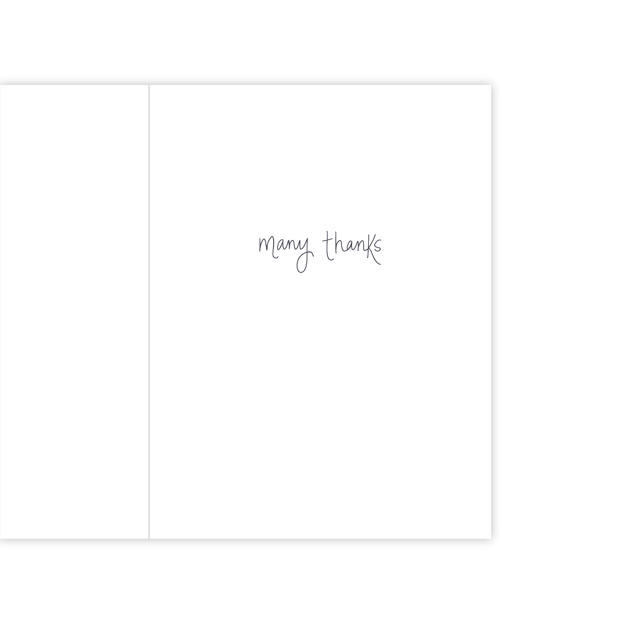 Lemon Lines - Wholesale Thank You Card - Many Thanks1